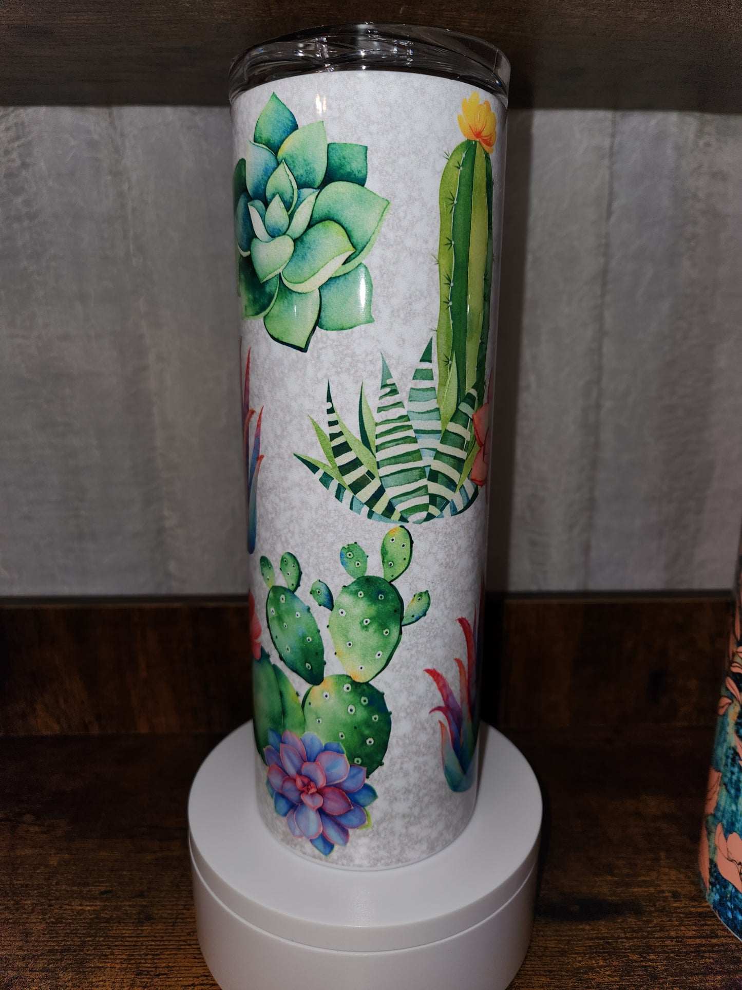 Succulents